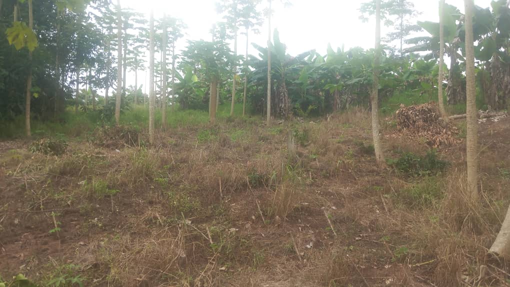 Prime Development Land for Sale – East Airport
