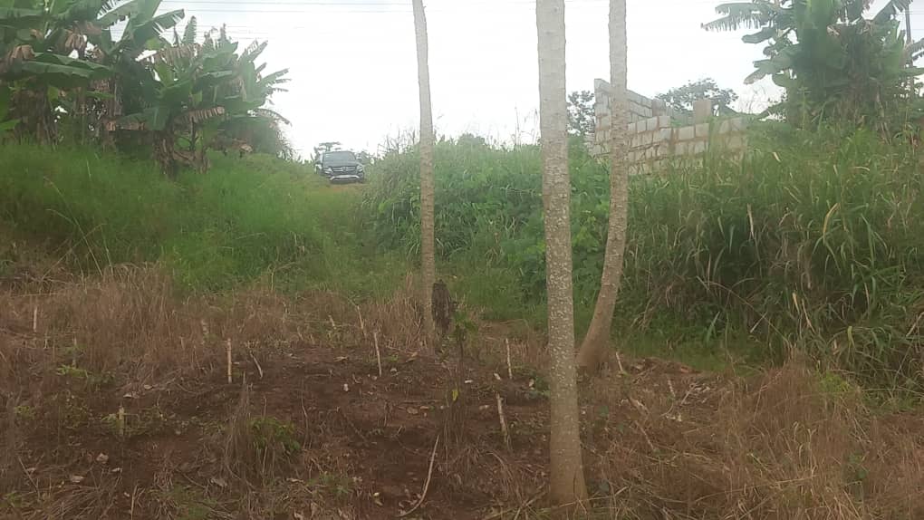 Prime Land for Development – Amasaman