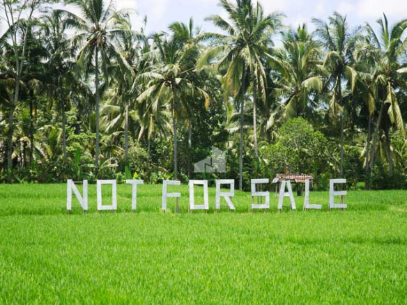 Not for sale