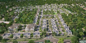Best Areas to Rent