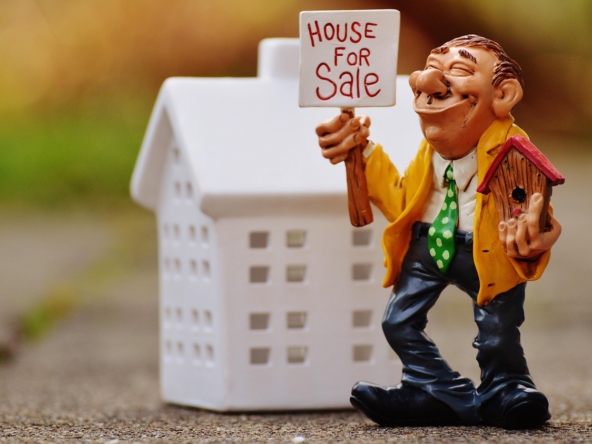 Real Estate Agent