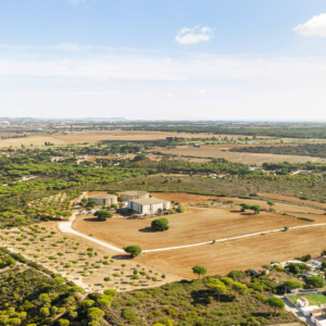 Common Causes of Land Disputes and How to Avoid Them