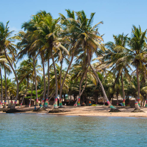 Ada Foah Real Estate Guide: Beachfront Living & Tourism Investment in Greater Accra